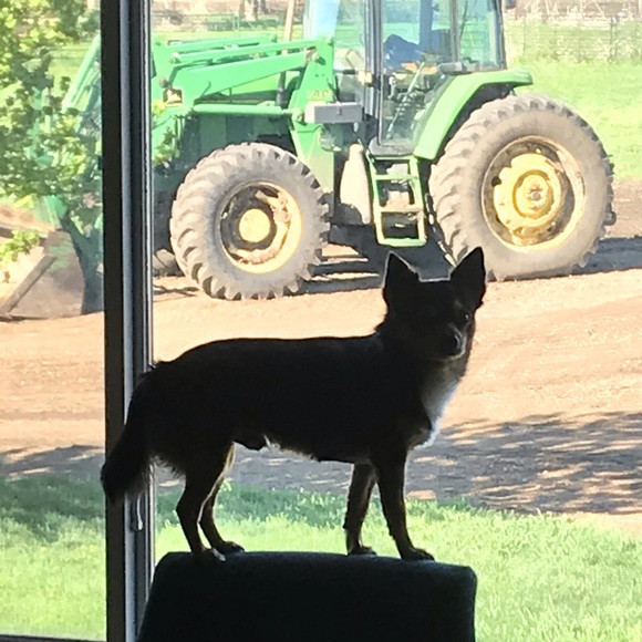 Meet your Posh Ambassador, Paula - Picture 6 of 16